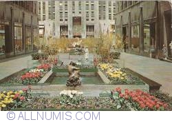 Image #1 of New York - Rockefeller Center Channel Garden (1964)