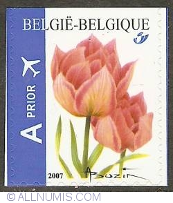 Image #1 of Prior A Fare 2007 - Tulipa Peach Blossom