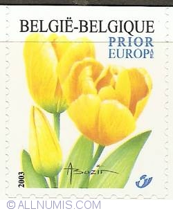Image #1 of Prior Fare 2003 - Tulip