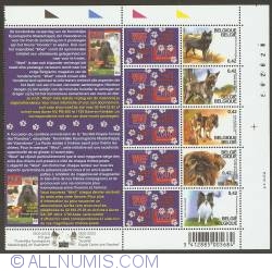 Sheet Centennial Royal Canine Society of Flanders