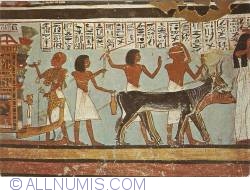 Image #1 of Valley of the Kings - Wall painting showing religious ceremonies (1985)
