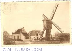 Wenduine - The Windmill