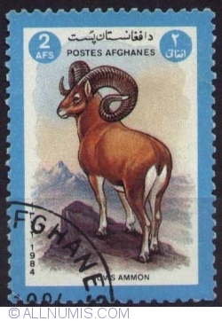 2 Afghani - Argali or Mountain Sheep