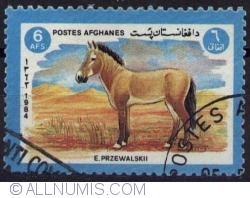 6 Afghani - Calul lui Przewalski